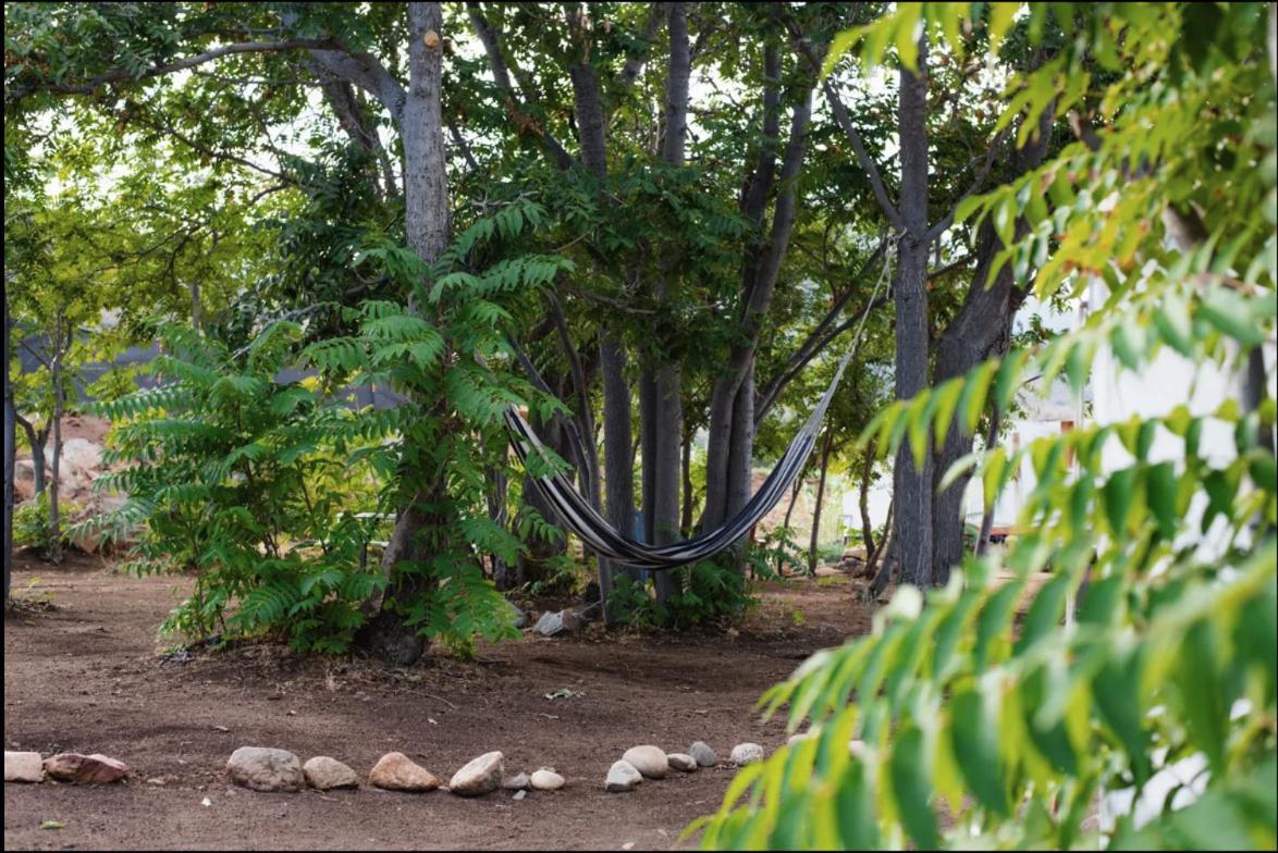Socal Camping Кернвилл Экстерьер фото